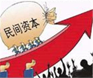 資本和金融項目 資本和金融項目