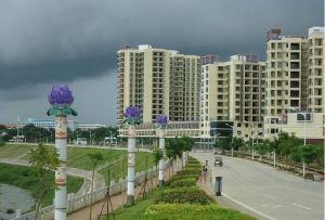 九所新區 九所新區