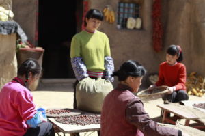 《鳳凰溝的春天》