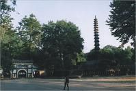 玉泉寺斜塔 玉泉寺斜塔