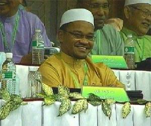 泛馬回教黨 泛馬回教黨