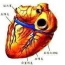 易感人群 易感人群