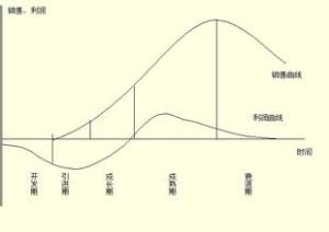 組織生命周期理論