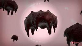 Necora病毒 Necora病毒