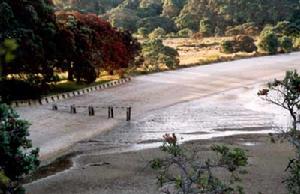 奧維圖半島 奧維圖半島
