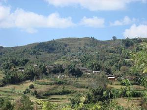 白家自然村 白家自然村