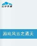 遊戲風雲之通天之道 遊戲風雲之通天之道