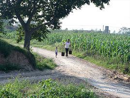 記憶中的小路 記憶中的小路