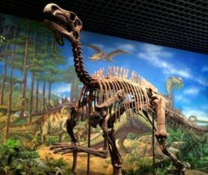 旺蒼恐龍化石公園
