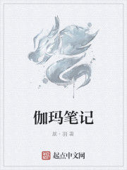 伽瑪筆記 伽瑪筆記