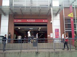 嘉禾望崗站 嘉禾望崗站