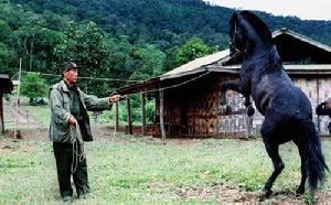 金山角大毒梟坤沙