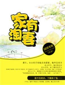 《家有淘妻》 《家有淘妻》