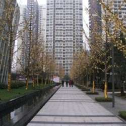 融匯國際溫泉城一期