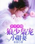 染愛成癮：狼少梟寵小甜妻