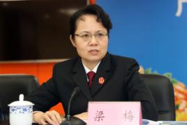 梁梅[廣西壯族自治區高級人民法院副院長]