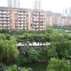 朵力西城星座 朵力西城星座