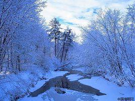 雪的夢幻 雪的夢幻