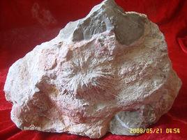 彩色菊花石 彩色菊花石