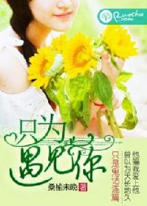 只為遇見你[若初文學網小說]