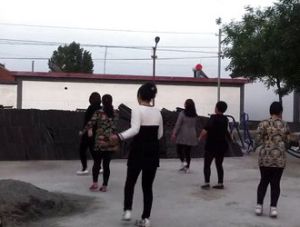 前八家莊村 前八家莊村