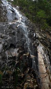 尖峰嶺熱帶雨林