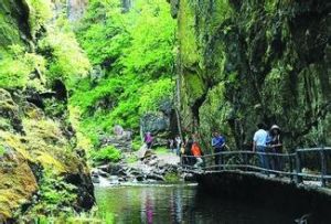 嘉蔭茅蘭溝風景區 嘉蔭茅蘭溝風景區