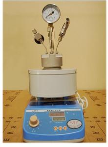 微型高壓反應釜