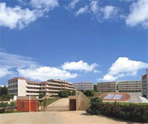 高州市第七中學 高州市第七中學