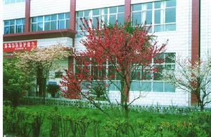 盤州市第三中學