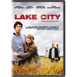 湖邊城市 湖邊城市