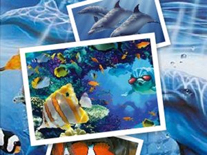 光怪陸離海底 光怪陸離海底