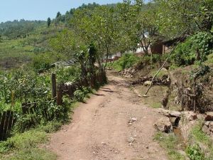 炸哈拉大村 炸哈拉大村