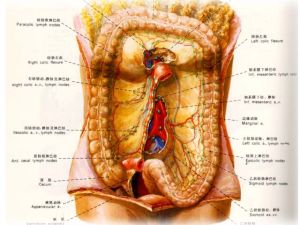 非閉塞性腸系膜血管缺血