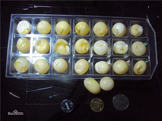 鱉蛋容易損壞