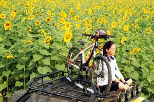 《他說&middot;愛》劇照