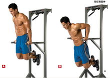 雙槓臂屈伸