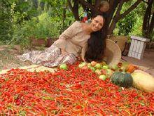 吉胡&middot;阿莎