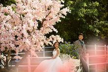 外景：北海道&middot;櫻花谷