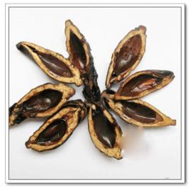 煙果檳榔 煙果檳榔