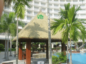 創綠仿真茅草 創綠仿真茅草