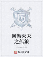 網遊滅天之孤狼