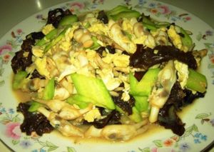 苜蓿蟶子 苜蓿蟶子