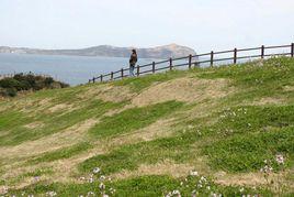 高山草原 高山草原