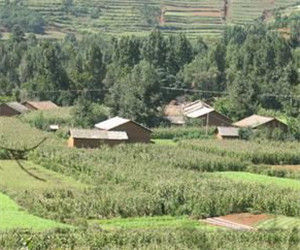 海尾巴自然村 海尾巴自然村