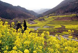 寧強縣[陝西省漢中市下轄縣]