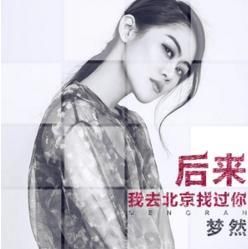 後來我去北京找過你 後來我去北京找過你