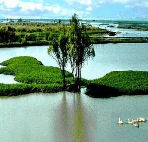 白馬湖生態旅遊區 白馬湖生態旅遊區
