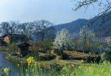 安徽省石台縣七都鎮