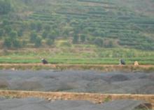 甘棠鎮[安徽省黃山市黃山區甘棠鎮]